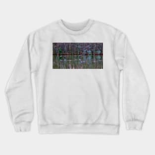 A Flock Of Seagulls Crewneck Sweatshirt